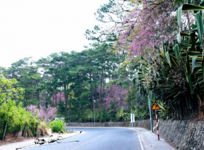 Minh Khôi' Homestay